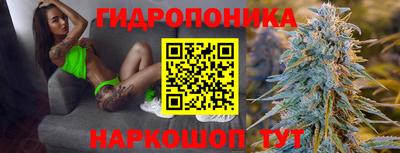 спиды Донской