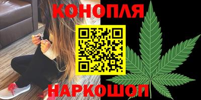 спиды Донской