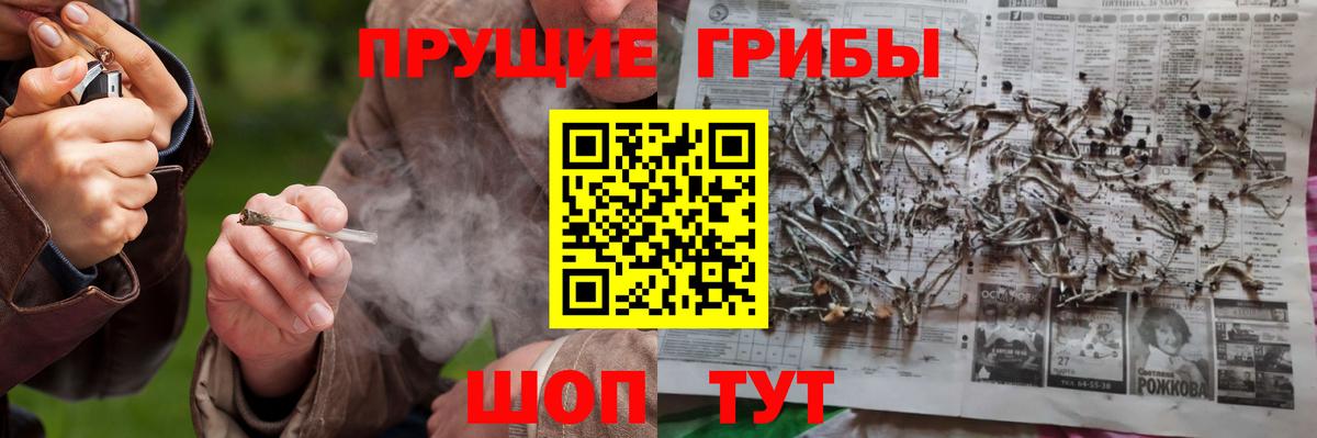 Псилоцибиновые грибы мицелий  Псилоцибиновые грибы ЛСД  Мытищи  Вход с VPN 